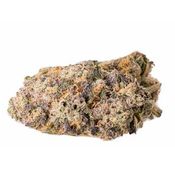 White Russian thumbnail 1