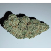Black Domina (High-Grade)