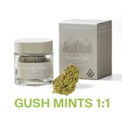 Gush Mints 1:1 - 3.5g Flower Jar