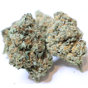 BC KUSH AAA+ 