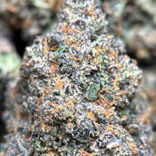(28G) - Alien Blackout👽😵Indica | 2Oz Bulk Deal for $210 thumbnail 4