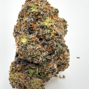 *NEW* Maple Dunks Supreme Grade 