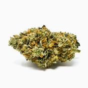 Bermuda Triangle | 3.5g Indoor