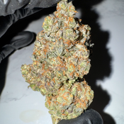 Frosted Fruit Cake | 26-30% THC | HYBRID | $110 OZ | $200 / 2 OZ thumbnail 2