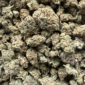 BUMPER OG 60OZ 2FOR110 4FOR400 thumbnail 2