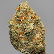 $50 OZ ON $ALE!! ~ Rockstar 🪨⭐️OG 