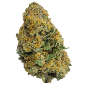 BC (AAA+) JET FUEL