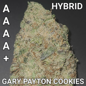 # 68% OFF   7⭐ GARY PAYTON COOKIES (STRONG HYBRID) ENERGIZED HIGH  ($80 OUNCE SALE) REG $280