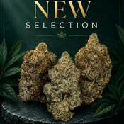 California Buds