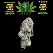 $100oz SUGARCANE - SATIVA🔥🔥🔥🔥🔥