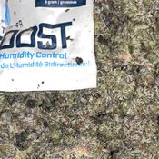 WHOLESALE AVAILABLE ⭐️ - NEW LIST EVERY WEEK! 📋