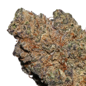 $100 OZ ON SALE!!!  ~  { Black Truffle } ~ HIGH QUALITY 