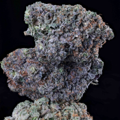 BC 5A Nuclear Blackout – 14G 110$ – 28G 180$ – 2 ounces 320$ – Kelowna MEGA GAS