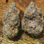 *** NEW APR 12 *** Black Dog 2 FOR $200 INDICA 100% 