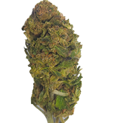 BC (AAA) JUNGLE MINTS thumbnail 3