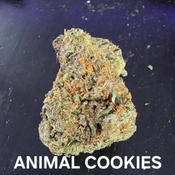 Animal Cookies Indica Dominant 