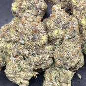 Astro Pink - 165$ oz (GAS)