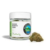 Gush Mints CBD