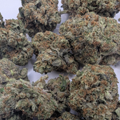 Lindsay OG thumbnail 3