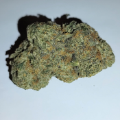 Afghan Big Bud (Premium-Grade)