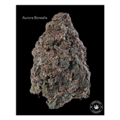 AA - AURORA BOREALIS
