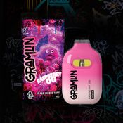 Raspberry OG 1g All-In-One Vape