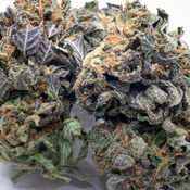 *NEW* Astro Pink // 2oz for $150