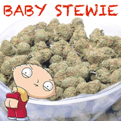 BABY STEWIE AAAAA+