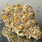 Acapulco Gold - Hybrid 60% Sativa / 40% Indica - THC 29%