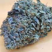 (5 STARS) Grand Master Kush 💯🔥💣⛽️ 2 OZ FOR 250