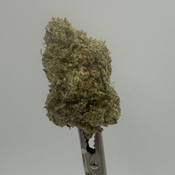 AAA+ Lemon Sour Diesel