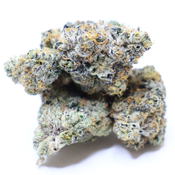 *** NOW 120 ONLY--SAVE 40 **** thumbnail 2