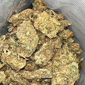 BC Critical Kush – Budget Buds – 4 OZ for 95$ – 1 OZ for 30$