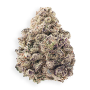 ( AAAA ) Beach Wedding ( LSO ) 28% THC |  $192/Oz