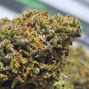 (NEW) Greasy Pink Bubba (On Sale!! $135/0z 🔥)   thumbnail 2