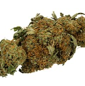 ((( Pina Colada (2oz 50$)(4oz 80$)(8oz 135$)(1lb 250$)