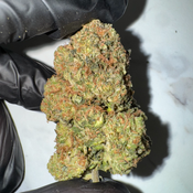 Ghost Owl | 26–30% THC | INDICA | $75 OZ | $130 / 2 OZ thumbnail 2