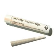 Grandi Guava - 1g Pre-Roll