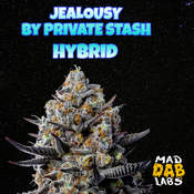 JEALOUSY - MAD DAB LABS 🔥🔥🔥🔥🔥🔊🔊🔊🔊🔊