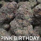 Pink Birthday Indica Dominant 