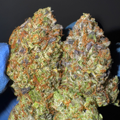 [NEW] LSO Icy Pink AAAA+ OZ 160 2OZ 280*