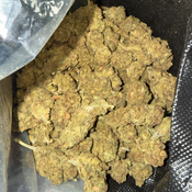 BLOWOUT SALE Durban Poison  4/oz $100 ‼️😱 thumbnail 2