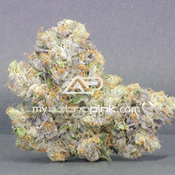 Lot #1631 Head on Collision