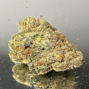 Amnesia Haze - Hybrid 70% Sativa/30% Indica - THC 28-30%