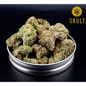 AAAA | PINK OCTANE SMALLS thumbnail 1