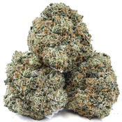 DEVIL DRIVER thumbnail 1