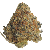 BC (AAAA) BLUE PETROL thumbnail 4