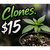 Canna-corp-canada.com