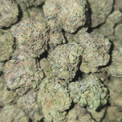 50% DEATH BUBBA SNOWBALL 150OZ 2FOR280 4FOR540 thumbnail 2