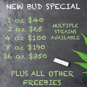 4 OZ $100 / 8 OZ $190 / 16 oz $350 - (PLUS 1 OZ SHAKE / 2 PREROLLS / 1g HASH OR 1g QUADS AAAA+)